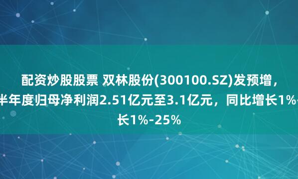 配资炒股股票 双林股份(300100.SZ)发预增，预计半年度归母净利润2.51亿元至3.1亿元，同比增长1%-25%