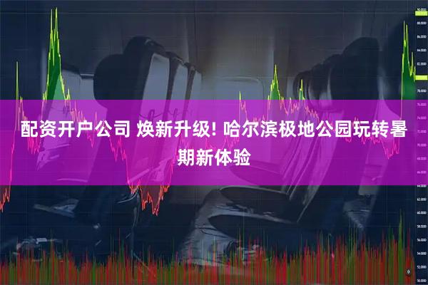 配资开户公司 焕新升级! 哈尔滨极地公园玩转暑期新体验